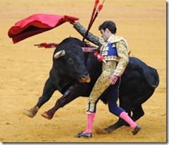 Fighting the Bull