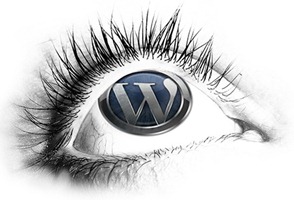 Looking at WordPress (by InternetEra.Net)