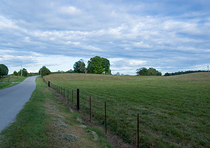 Country Road In Tennessee Farm Country