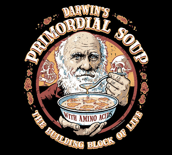 Darwin's Primordial Soup